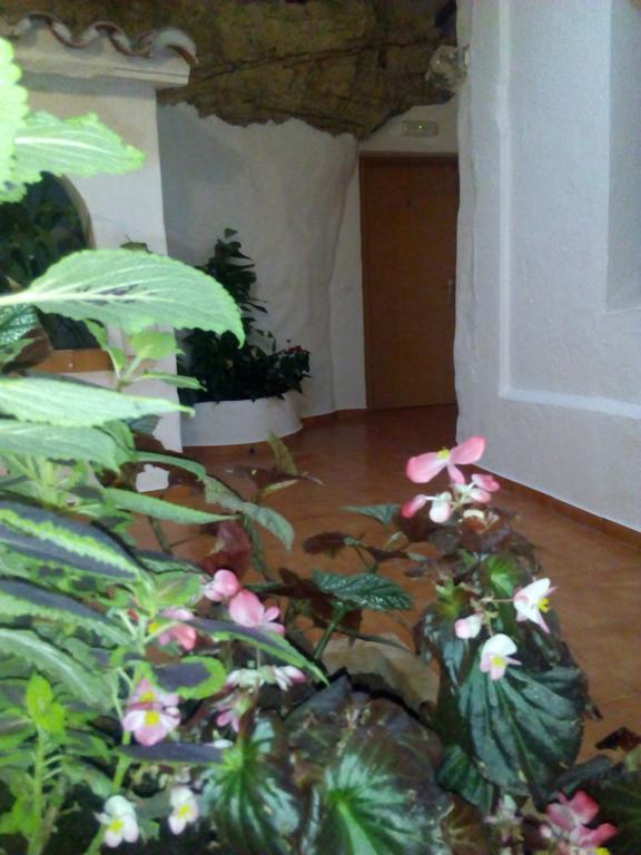 Hostal Batato Vejer de la Frontera Εξωτερικό φωτογραφία
