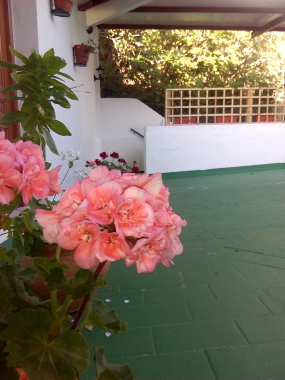 Hostal Batato Vejer de la Frontera Εξωτερικό φωτογραφία
