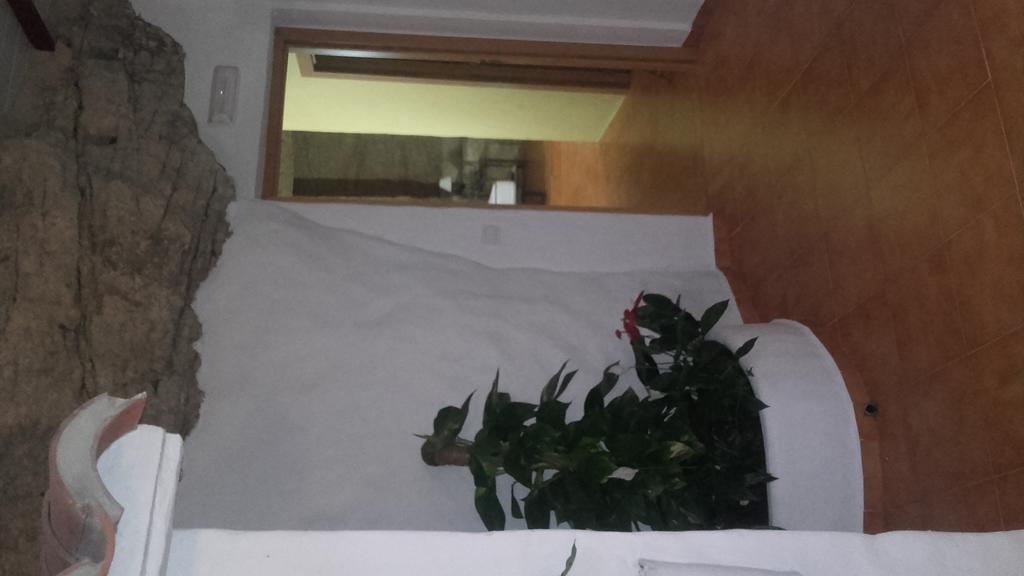 Hostal Batato Vejer de la Frontera Εξωτερικό φωτογραφία